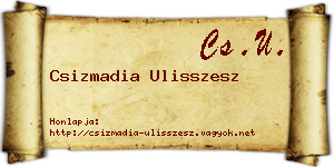 Csizmadia Ulisszesz névjegykártya